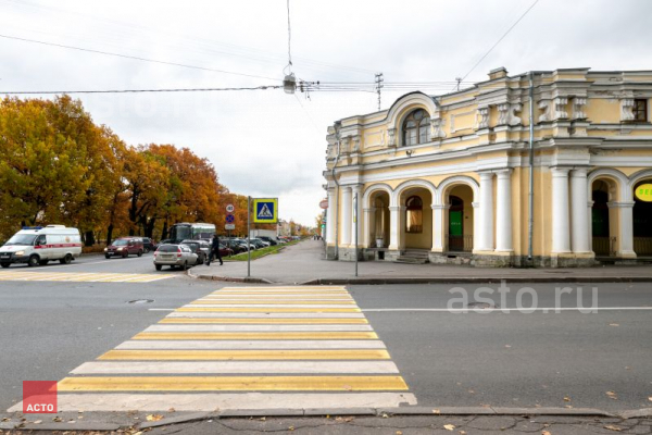 Россия, Санкт-Петербург, Пушкин, Московская улица, 25